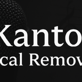 Come Rimuovere Voce da Canzone con un Clic